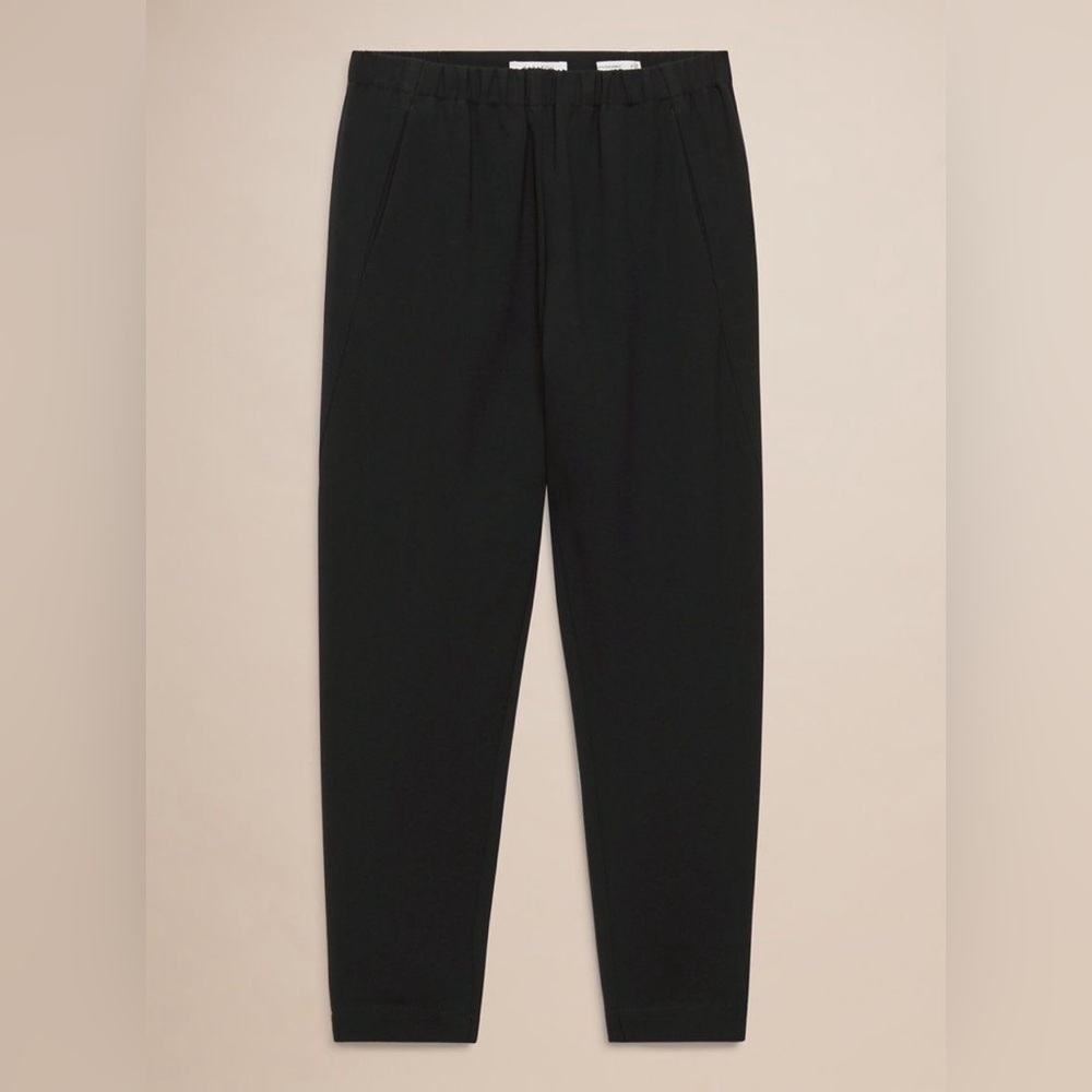 Aritzia Dexter pant